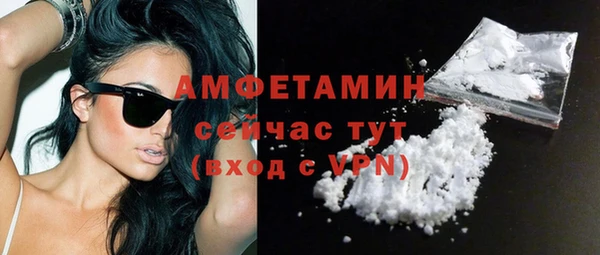шишки Железногорск-Илимский