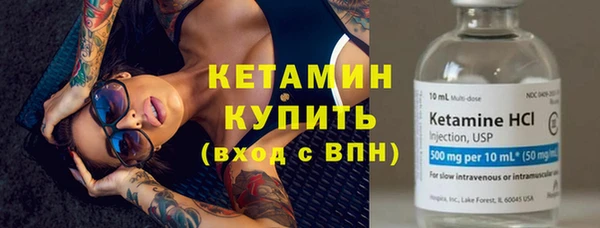 шишки Покачи
