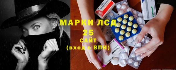 шишки Покачи