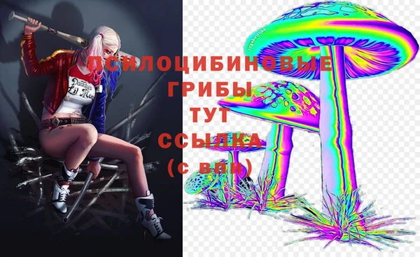 2c-b Ижевск