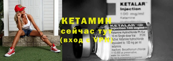 шишки Покачи