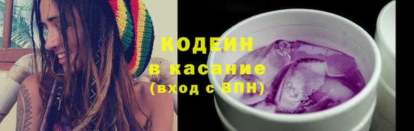 шишки Покачи