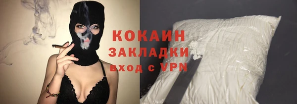 шишки Покачи