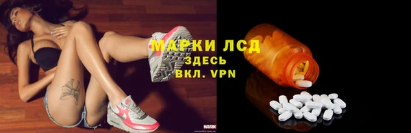 прущие грибы Дедовск