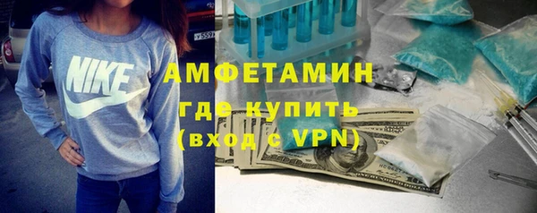 шишки Покачи