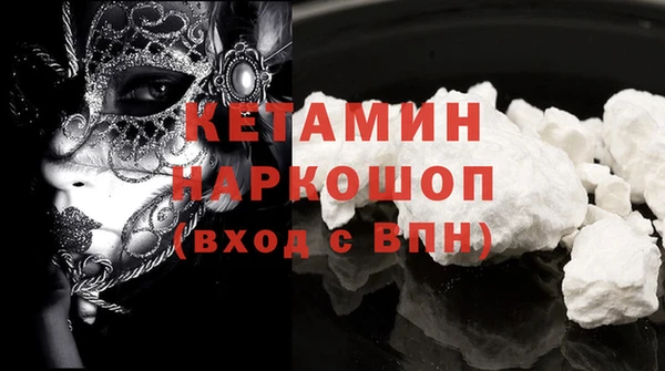 шишки Покачи