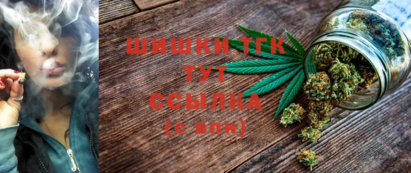 сатива Дегтярск