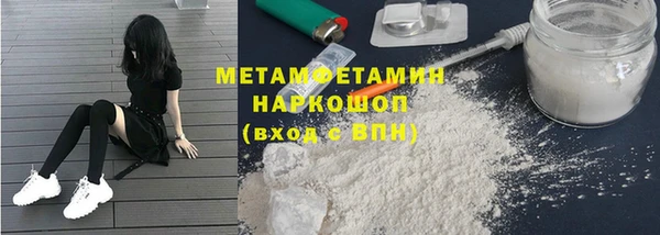 шишки Покачи