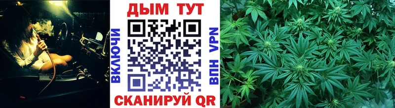 Конопля SATIVA & INDICA  наркота  Юрюзань 